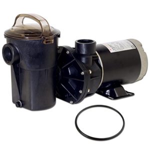 Hayward SP1580X15 Power Flo LX Series 1 1/2 Horsepower Above Ground Pool Pump with Cord and Replacement Lid O Ring   2 Item Bundle