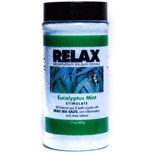 Eucalyptus Mint Aromatherapy Bath Salts  17 Oz– Natural Minerals for Soaking Aches  Pains & Stress Relief for Spa  Bath
