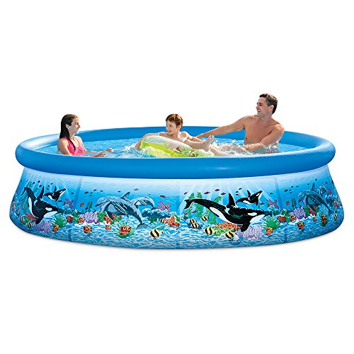 Intex 28125EH 10ft X 30in Ocean Reef Easy Set Pool Set with Filter Pump 1 Intex 28125EH 10ft X 30in Ocean Reef Easy Set Pool Set with Filter Pump