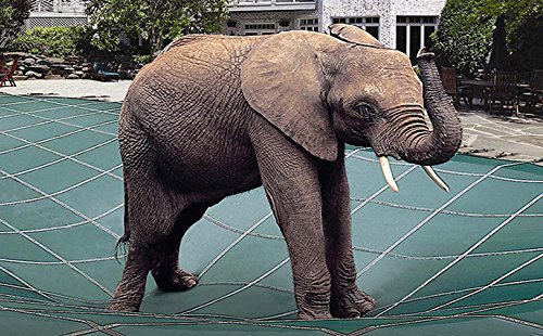 Loop-Loc Green Ultra-Loc II Solid Safety Cover Bundle with Pool Cover Pump and 4-Foot-by-8-Foot Left Step with 2-Foot Offset for 16-Foot-by-32-Foot Rectangular In-Ground Swimming Pool 1 Loop-Loc Green Ultra-Loc II Solid Safety Cover Bundle with Pool Cover Pump and 4-Foot-by-8-Foot Left Step with 2-Foot Offset for 16-Foot-by-32-Foot Rectangular In-Ground Swimming Pool