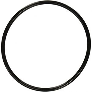 Pentair 350013 Lid O-Ring Replacement Pool and Spa Pump