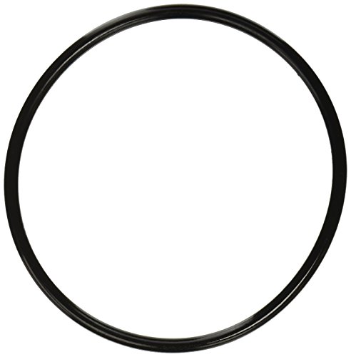 Pentair 350013 Lid O-Ring Replacement Pool and Spa Pump 1 Pentair 350013 Lid O-Ring Replacement Pool and Spa Pump