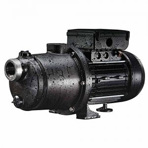 Pentair Boost-Rite Booster and Pressure-Side Cleaner Pump HP 115V 230V LA-MS05