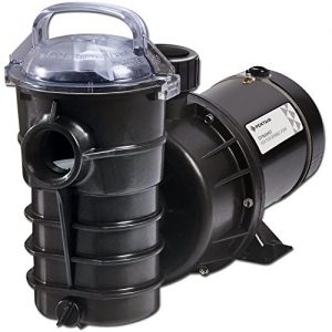 Pentair Dynamo 1.5 Horsepower Above Ground Pool Pump   340210