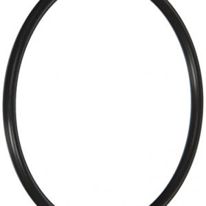Pentair R172009 Cap O-Ring Replacement Pool and Spa Filter and Feeder