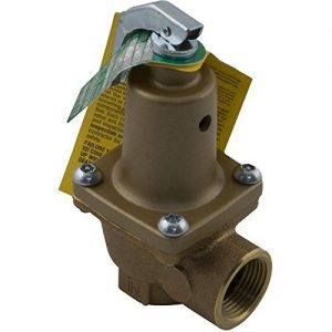 Raypak Parts 007224F Pressure Relief Valve - 125 Psi