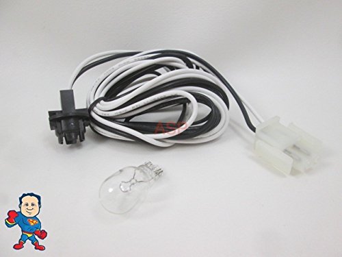 American Spa Parts Hot Tub Light Kit - 12V With 8' Wire, Bulb, 2-Pin Plug & Amp - Includes How-To Video