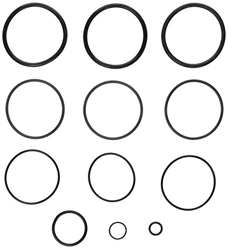 Zodiac R0358000 O-Ring Replacement Kit for Select D E and Cartridge Pool and Spa Filters 1 Zodiac R0358000 O-Ring Replacement Kit for Select D E and Cartridge Pool and Spa Filters