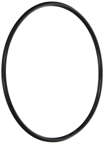 Zodiac R0374500 Energy Filter O Ring Replacement Kit for Zodiac Jandy Ray-Vac Automatic Pool Cleaner 1 Zodiac R0374500 Energy Filter O Ring Replacement Kit for Zodiac Jandy Ray-Vac Automatic Pool Cleaner
