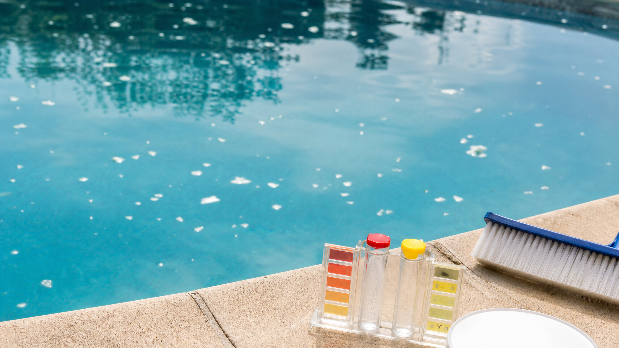 White flakes floating in clear pool water